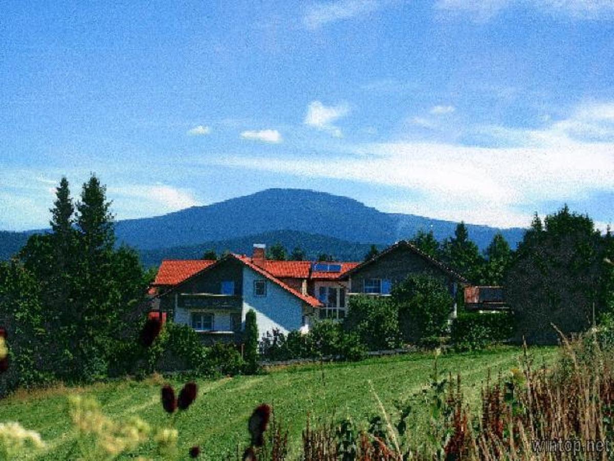 Pension Landhaus Hochfeld Zwiesel Εξωτερικό φωτογραφία